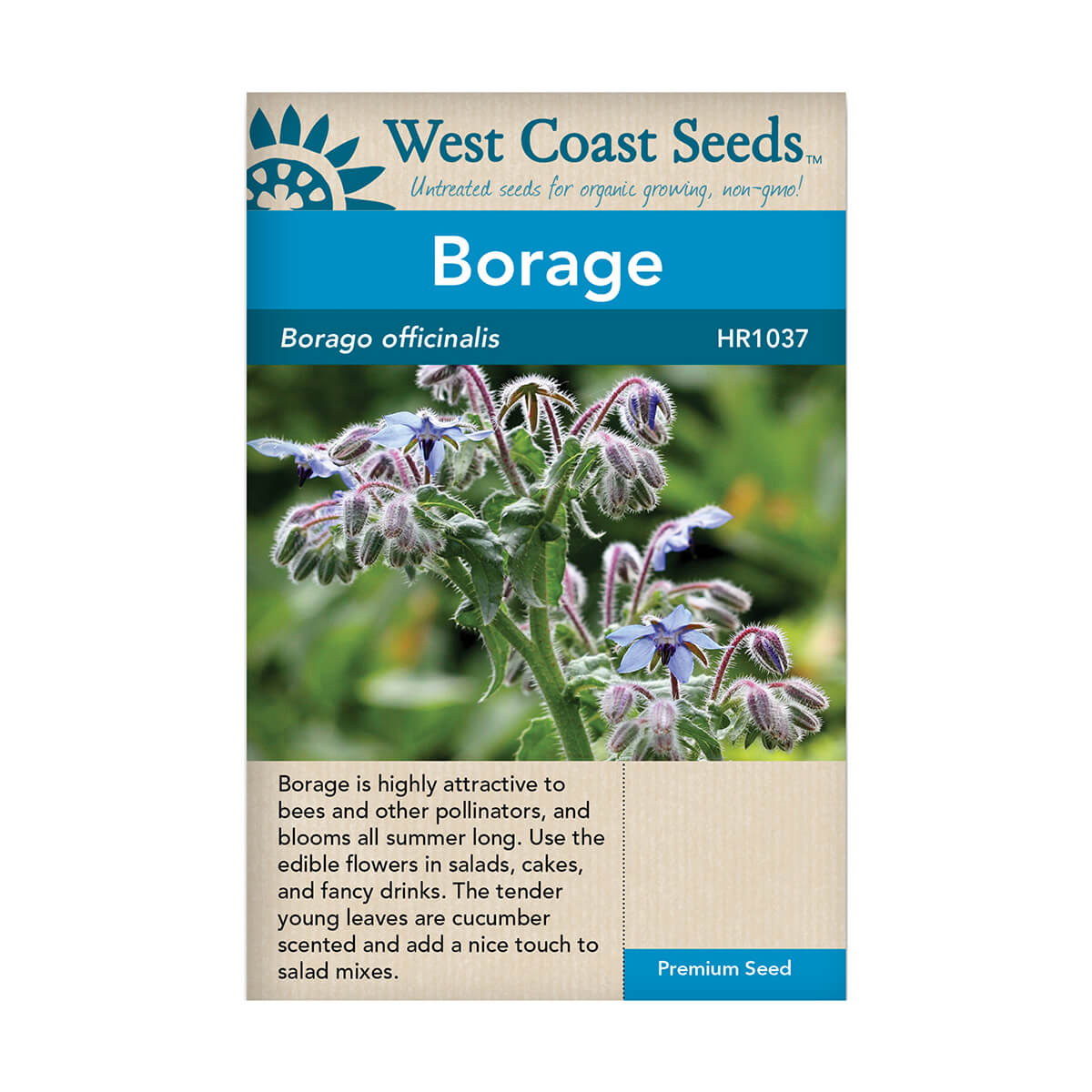 Borage Seeds - approx. 104 seeds