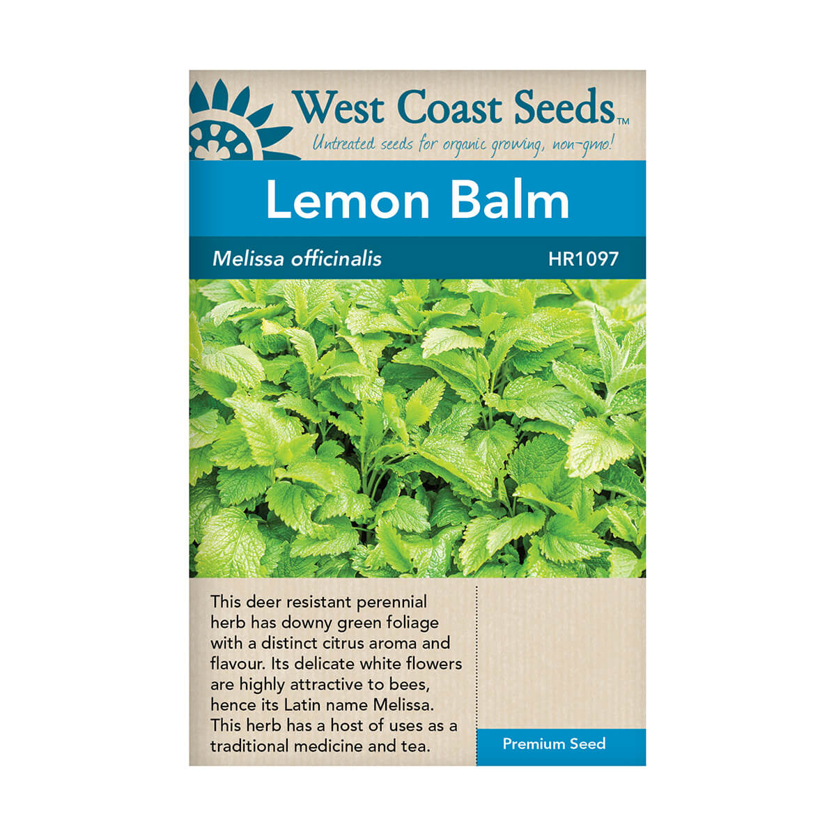 Lemon Balm Seeds - approx. 435 seeds