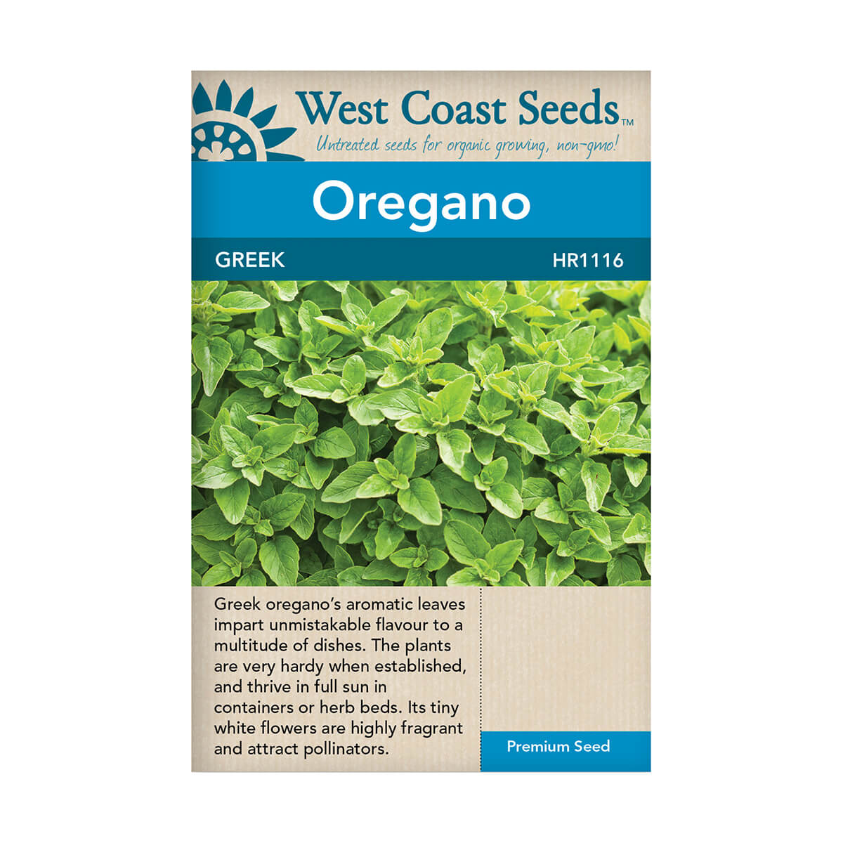 Greek Oregano Seeds - approx. 350 seeds