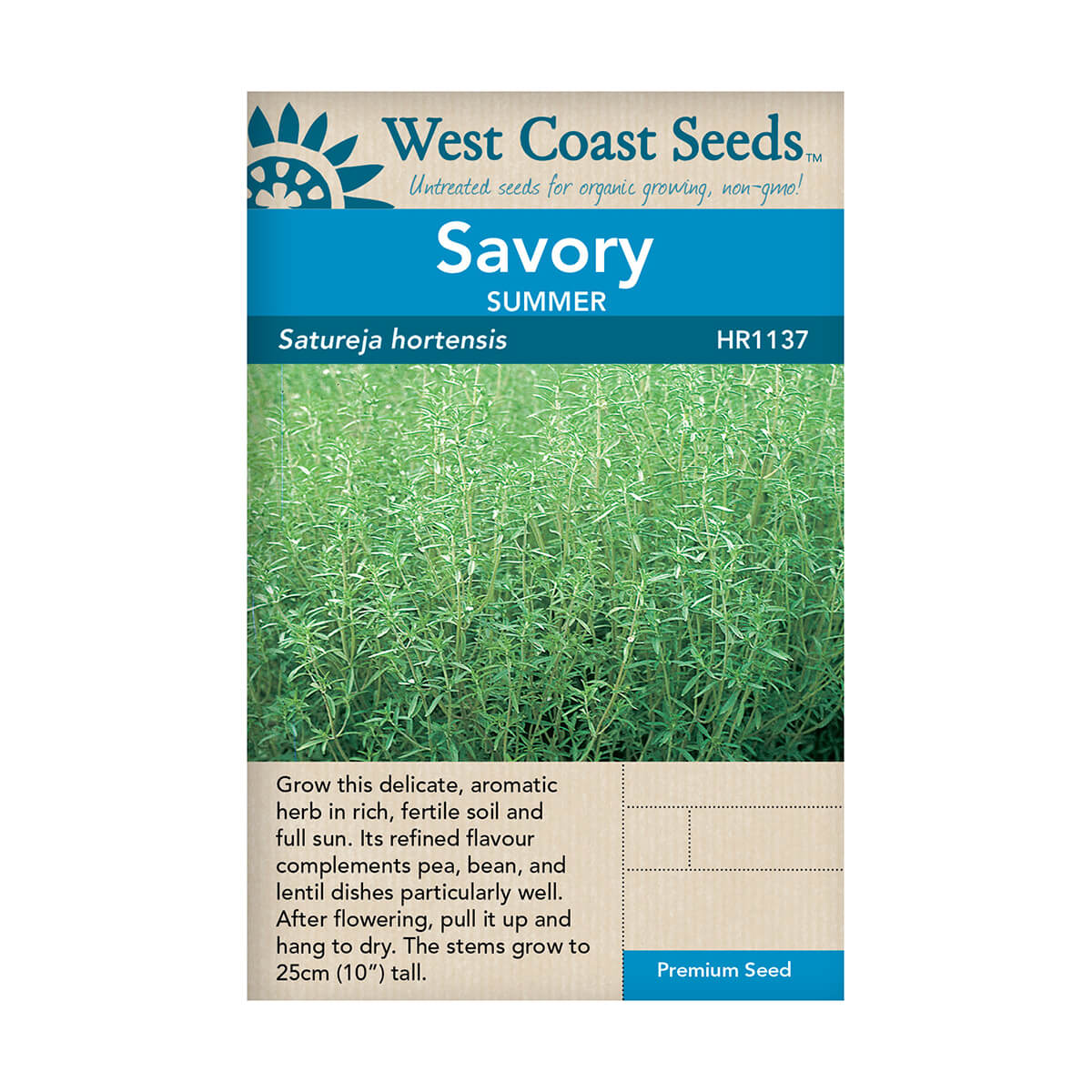 Summer Savory Seeds - approx. 1556 seeds