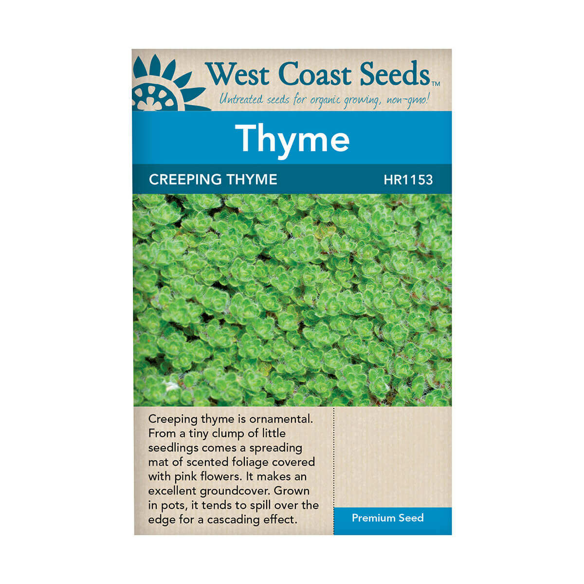 Creeping Thyme Seeds - approx. 646 seeds