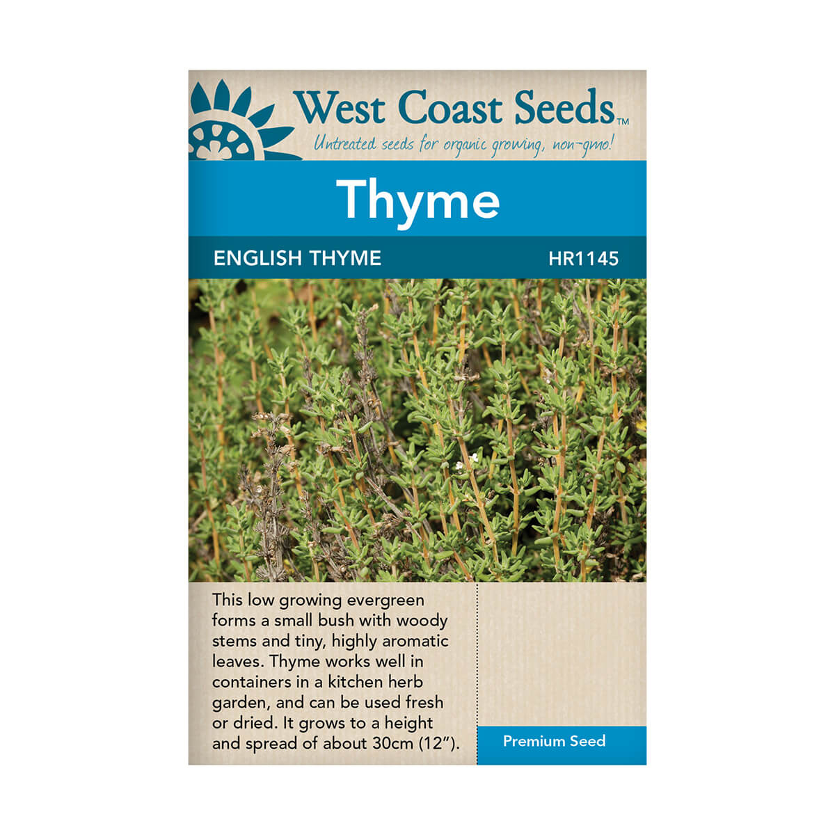 English Thyme Seeds - approx. 348 seeds