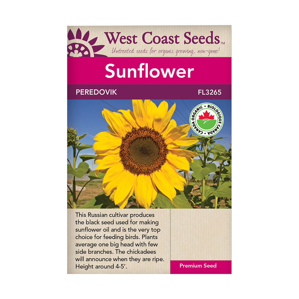 Peredovik Organic Sunflower Seeds - approx. 90 seeds