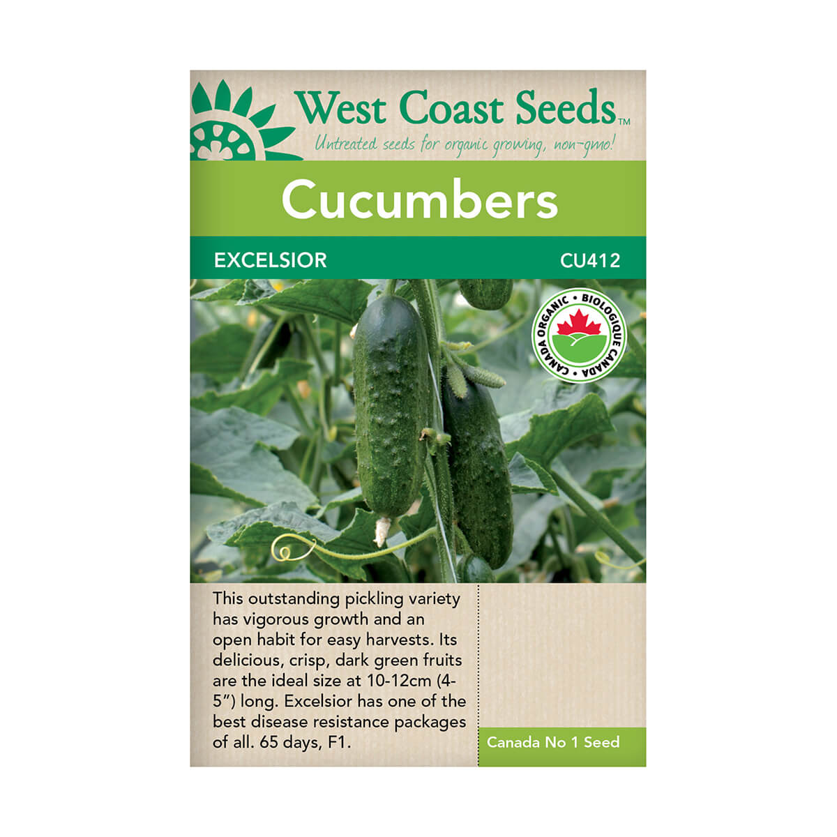 Excelsior Organic Cucumber Seeds - approx. 10 seeds