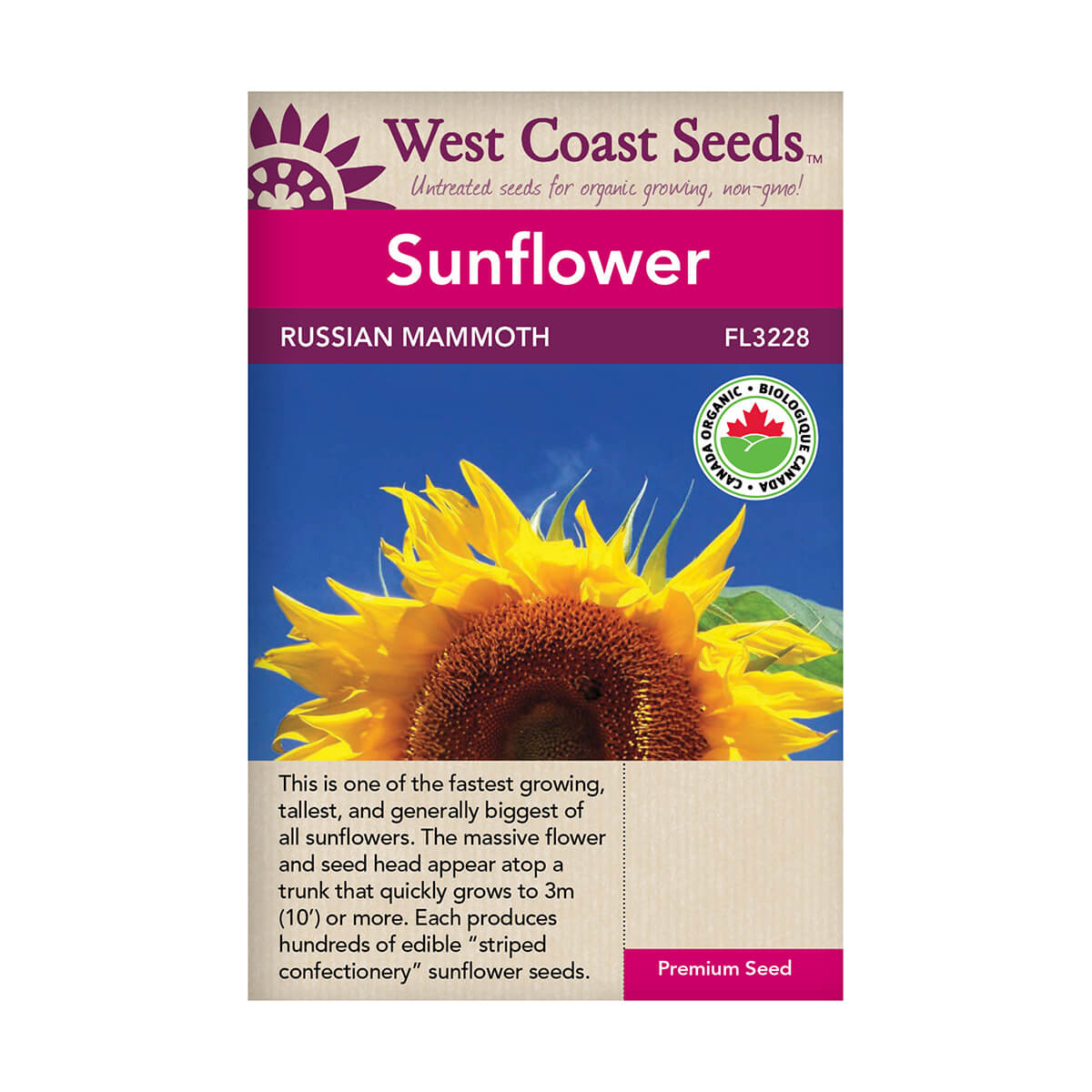 Russian Mammoth Organic Sunflower Seeds