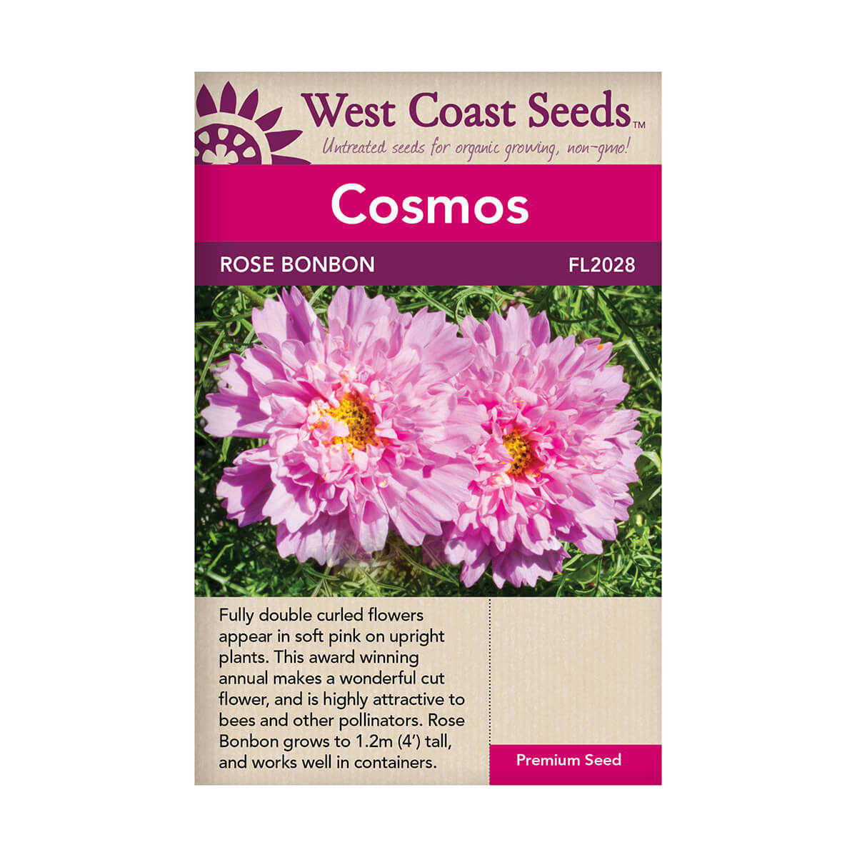 Rose Bon Bon Cosmos Seeds - approx. 30 seeds