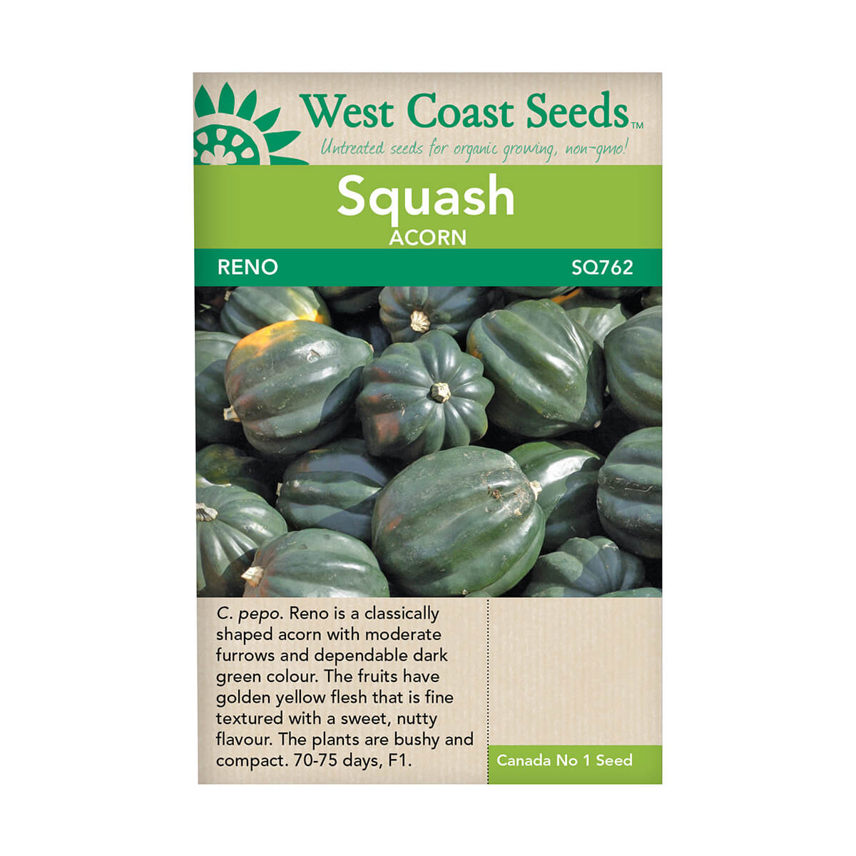 Reno Acorn Squash Seeds - approx. 9 seeds