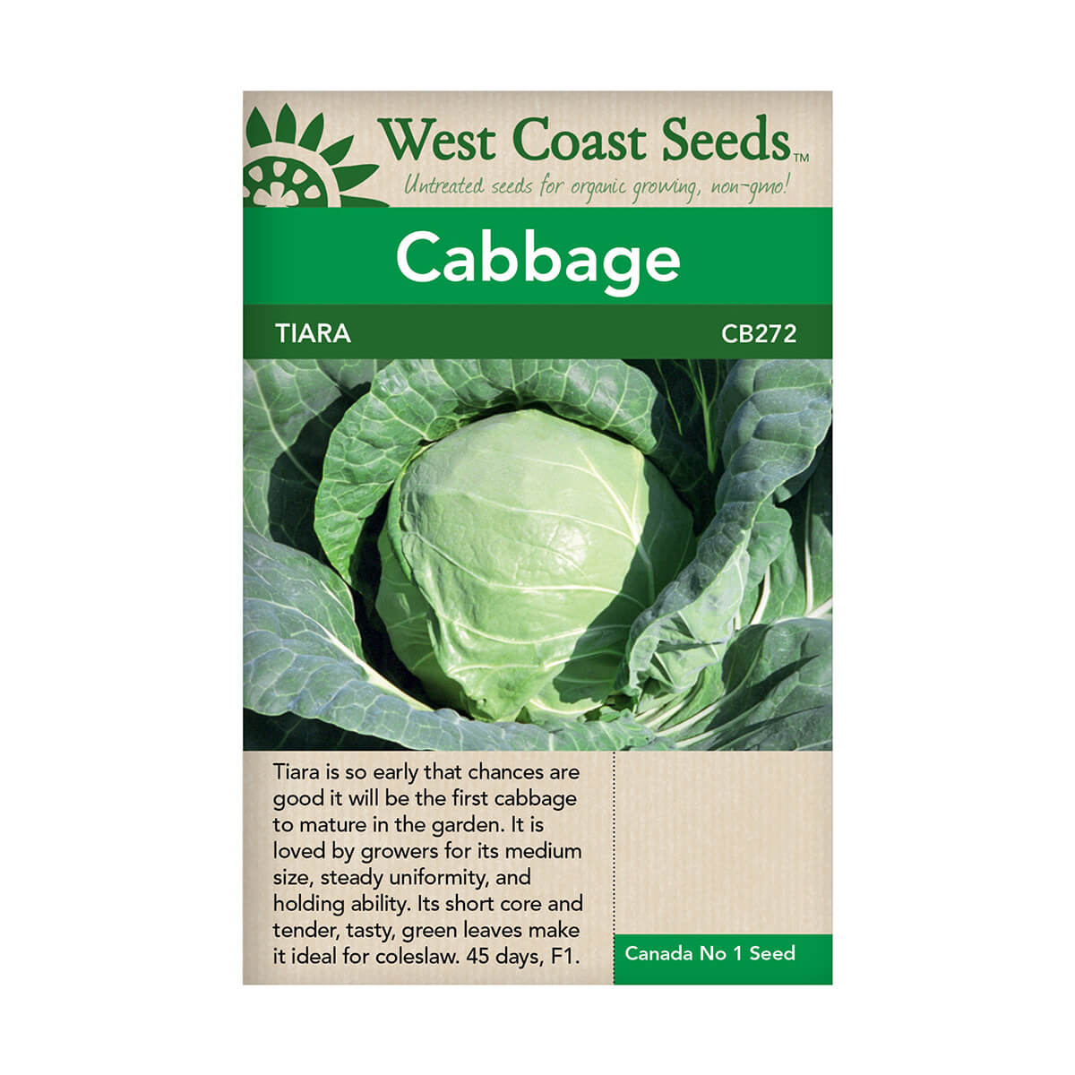 Tiara Cabbage Seeds - approx. 50 seeds