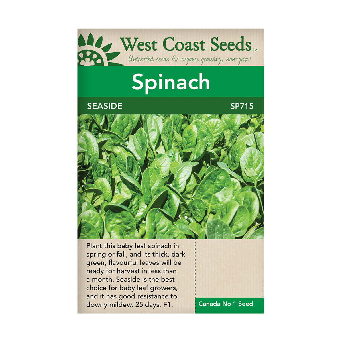 Seaside Spinach Seeds - approx. 100 seeds