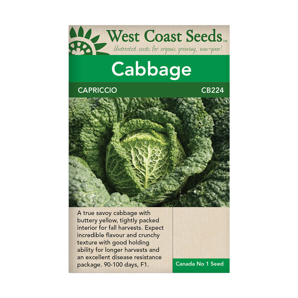 Capriccio Cabbage Seeds - approx. 50 seeds