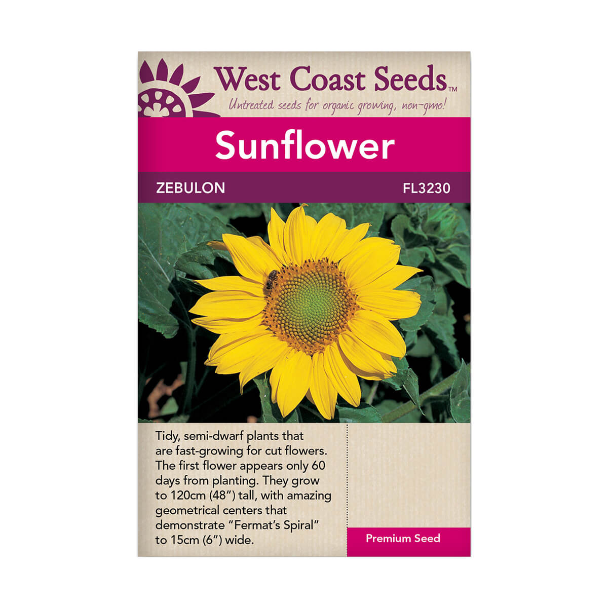 Zebulon Sunflower Seeds - approx. 15 seeds