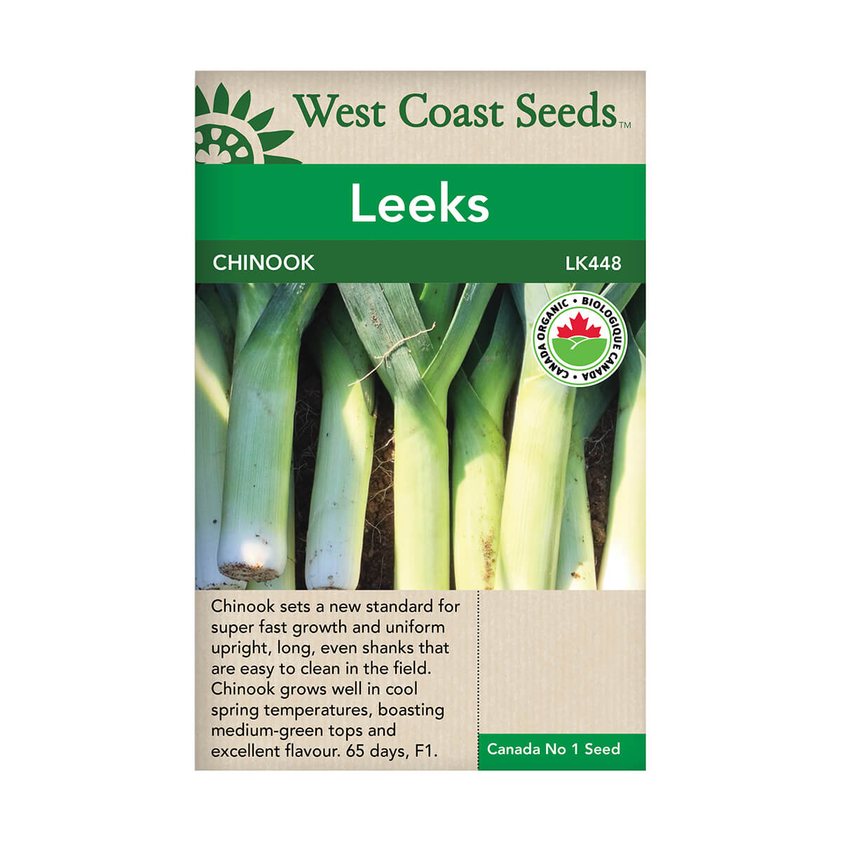 Organic Chinook Leek Seeds - approx. 25 seeds