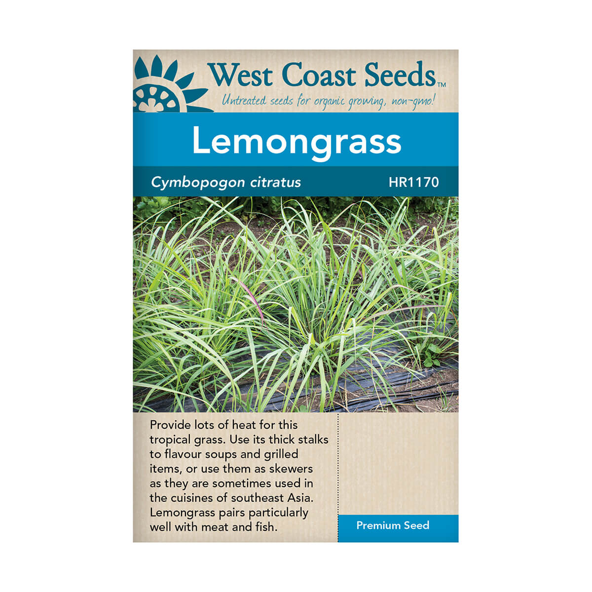 Lemongrass Seeds - approx. 250 seeds