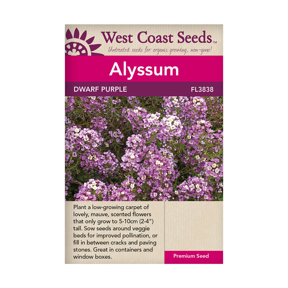 Dwarf Purple Alyssum Seeds - approx. 880 seeds