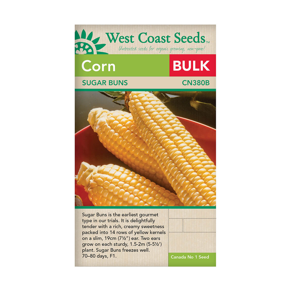Sugar Buns Corn Seeds - approx. 300 seeds
