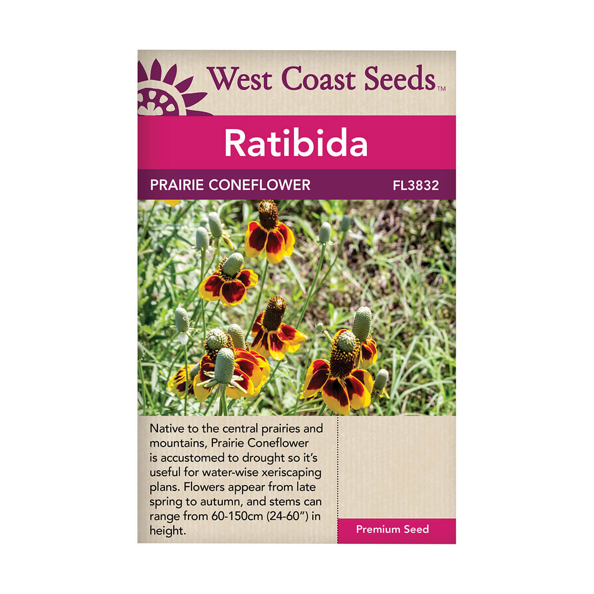 Ratibida Prairie Coneflower Seeds - approx. 500 seeds