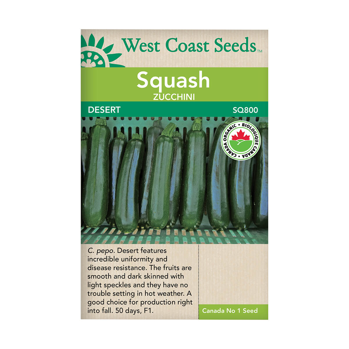 Desert Organic Zucchini Seeds - approx. 10 seeds