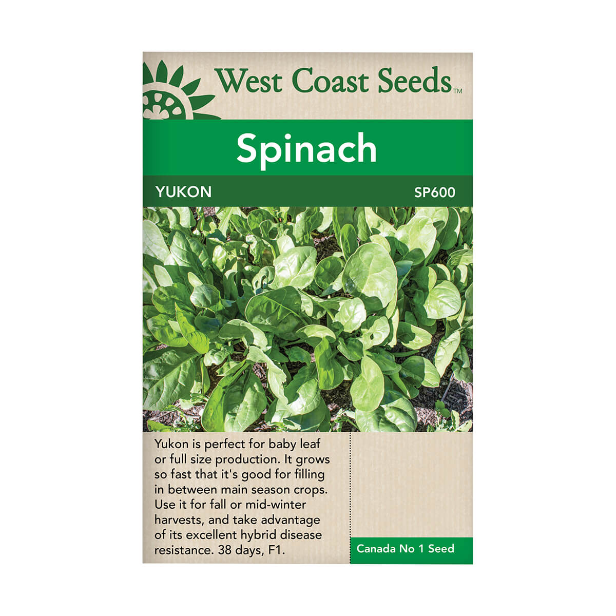 Yukon Spinach Seeds - approx. 100 seeds
