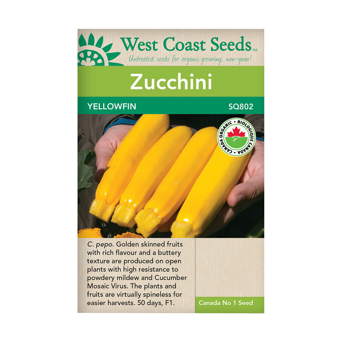 Yellowfin Organic Zucchini Seeds - approx. 10 seeds