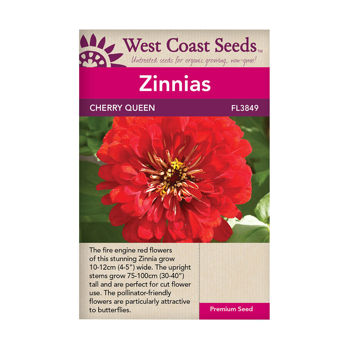 Cherry Queen Zinnia Seeds - approx. 150 seeds