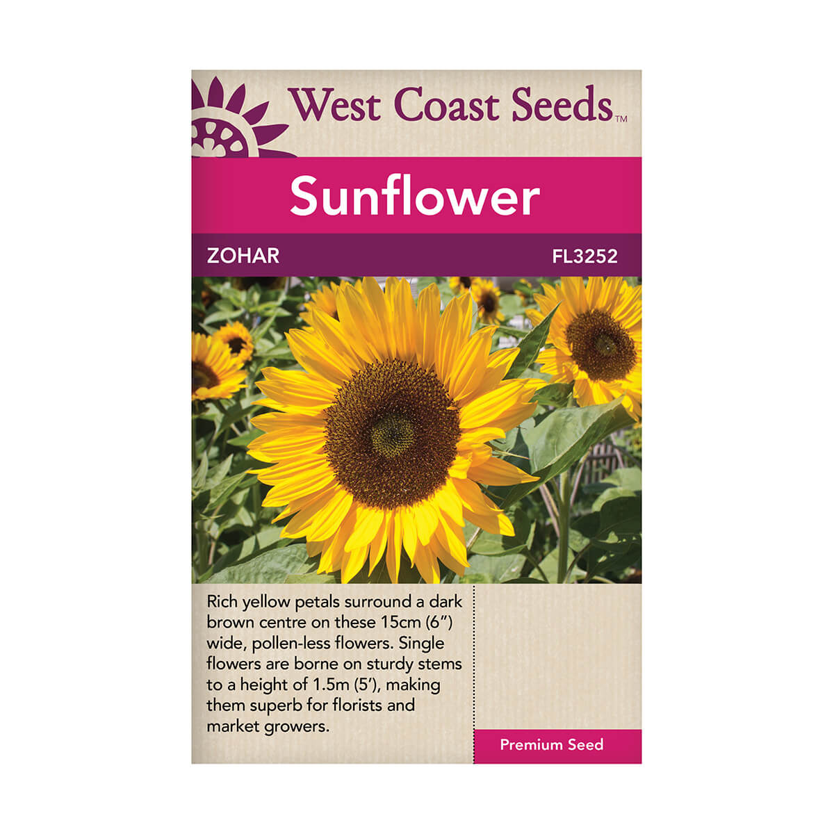 Zohar Organic Sunflower Seeds - approx. 19 seeds