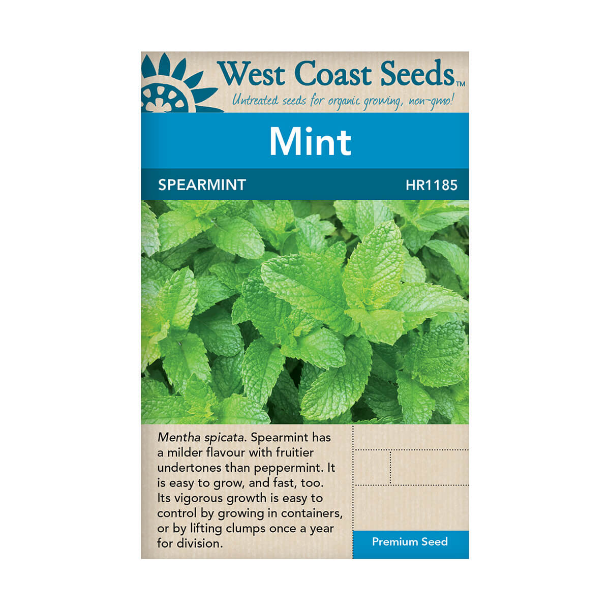Spearmint Seeds - approx. 3000 seeds