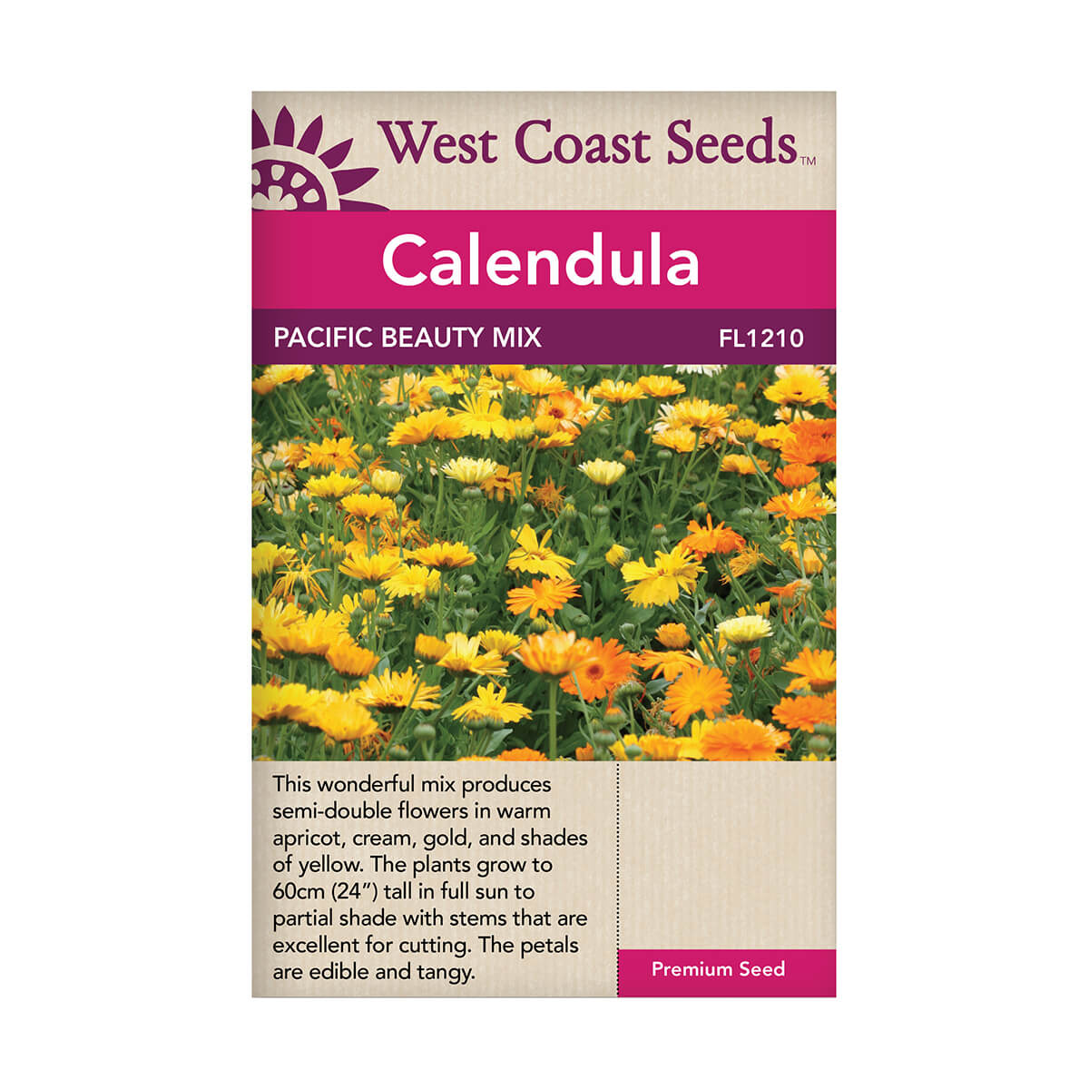 Pacific Beauty Mix Calendula Seeds - approx. 150 seeds