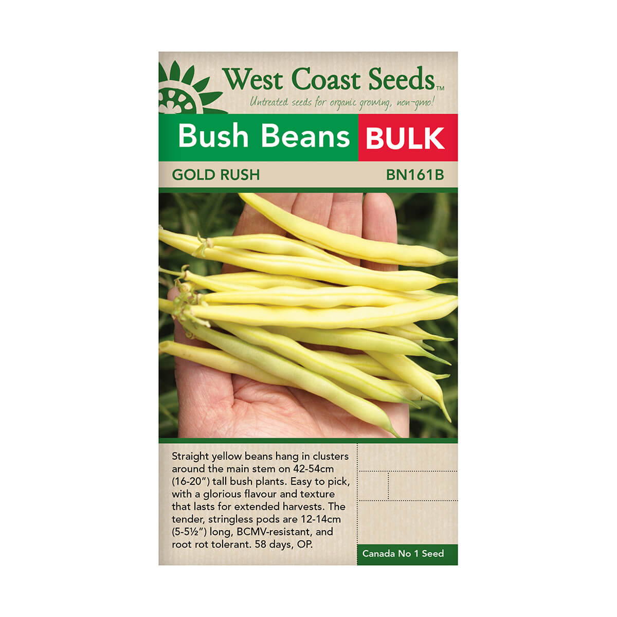 Gold Rush Bush Bean Seeds - approx. 410 seeds