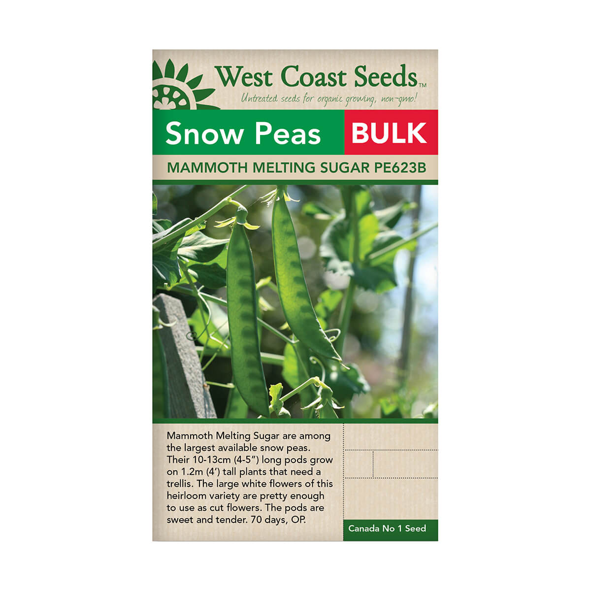 Mammoth Melting Sugar Snow Pea Seeds - approx. 262 seeds