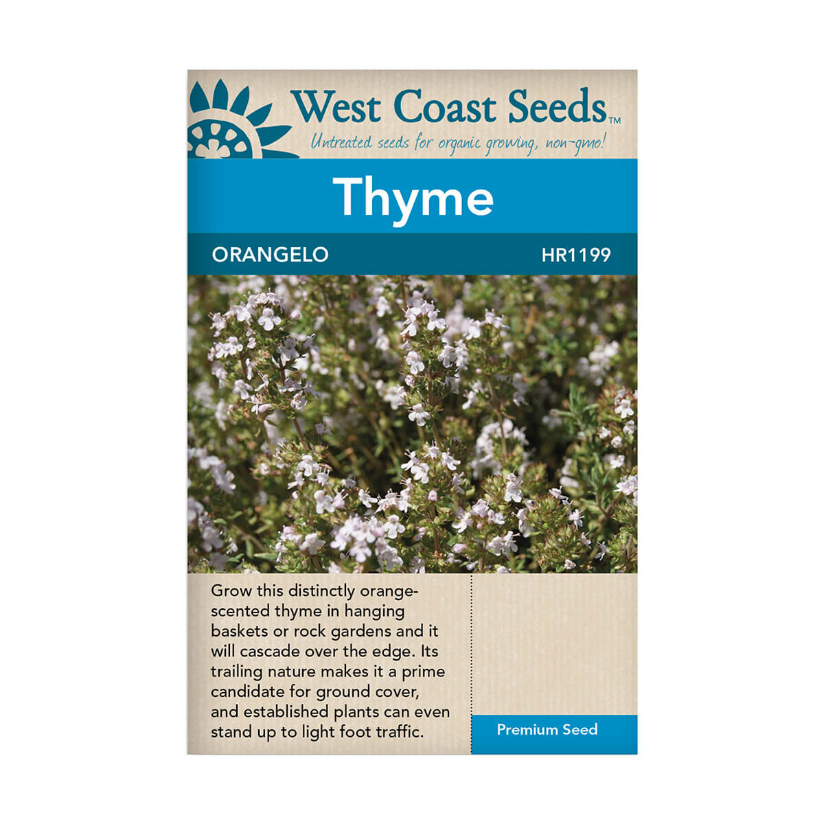 Orangelo Thyme Seeds - approx. 25 seeds