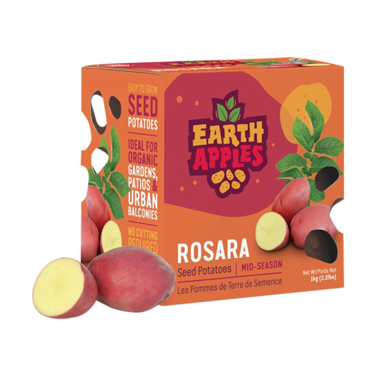 Rosara Whole Seed Potatoes - 2.2 lb