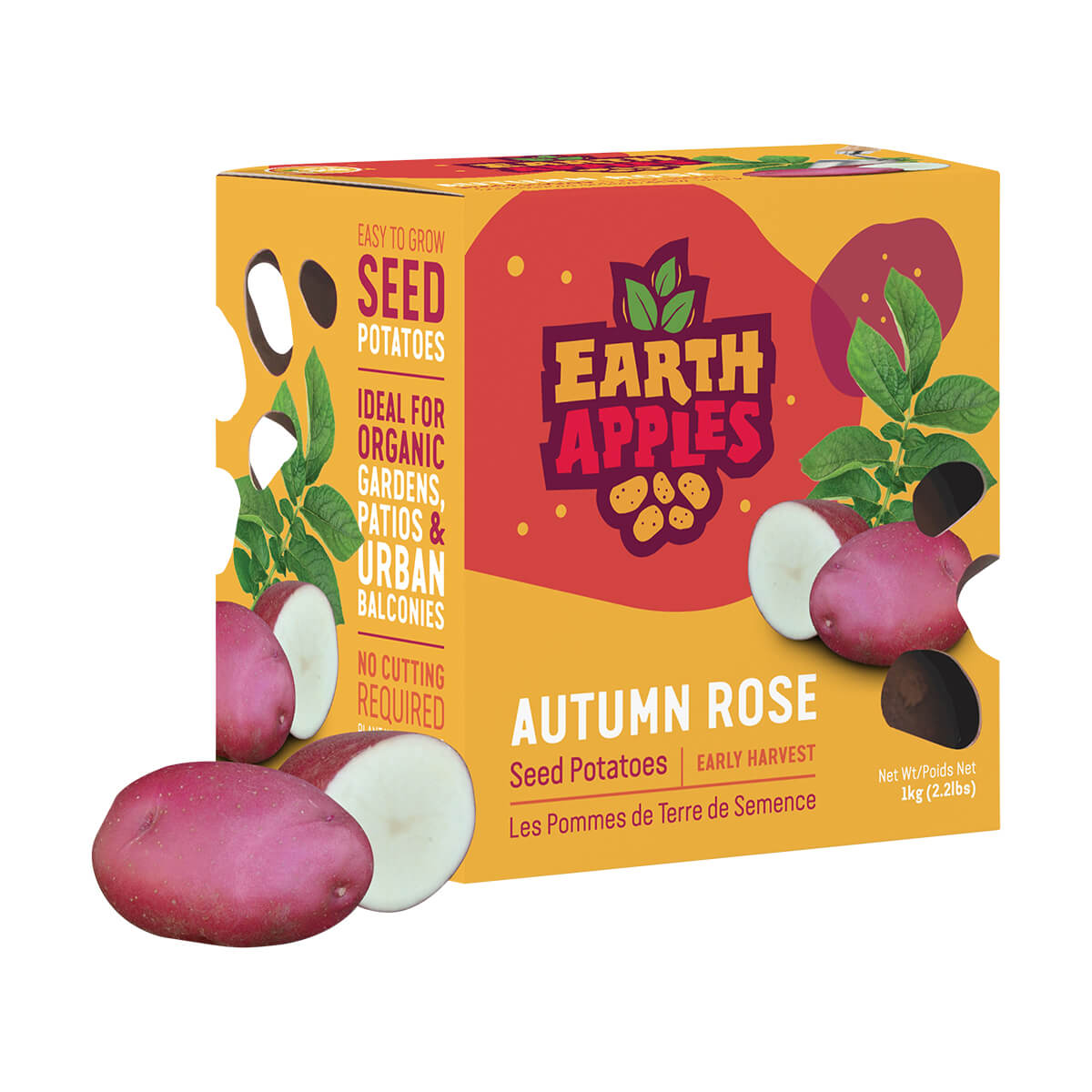 Autumn Rose Whole Seed Potatoes - 2.2 lb