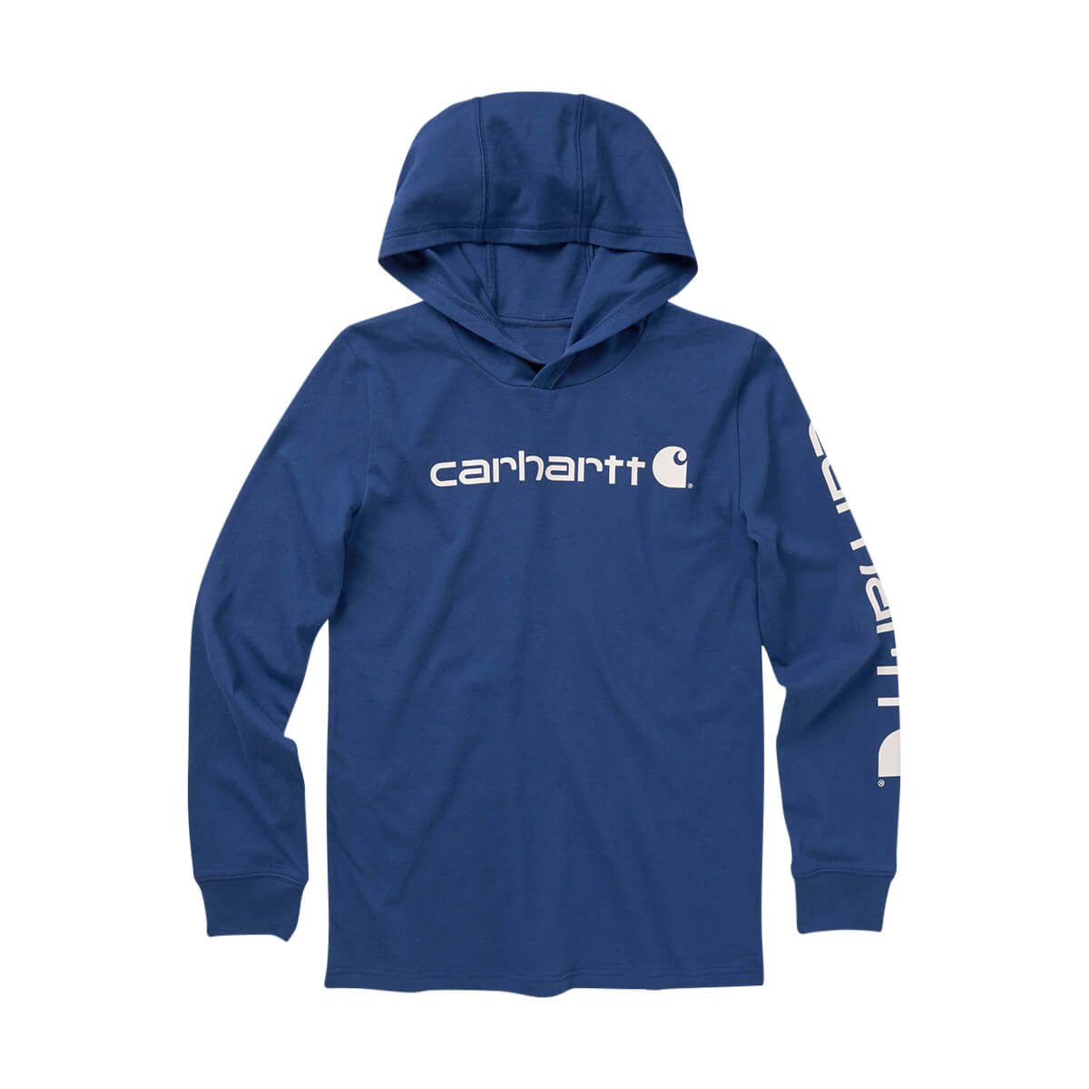Carhartt Long-Sleeve Hooded Signature Graphic T-Shirt - Blue