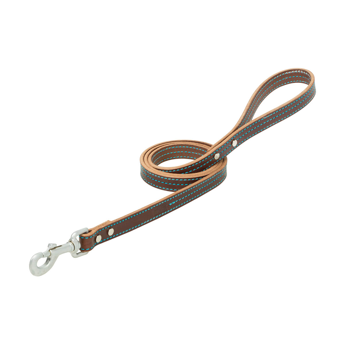 Terrain D.O.G.® Bridle Leather Dog Leash - 3/4-in x 4-ft