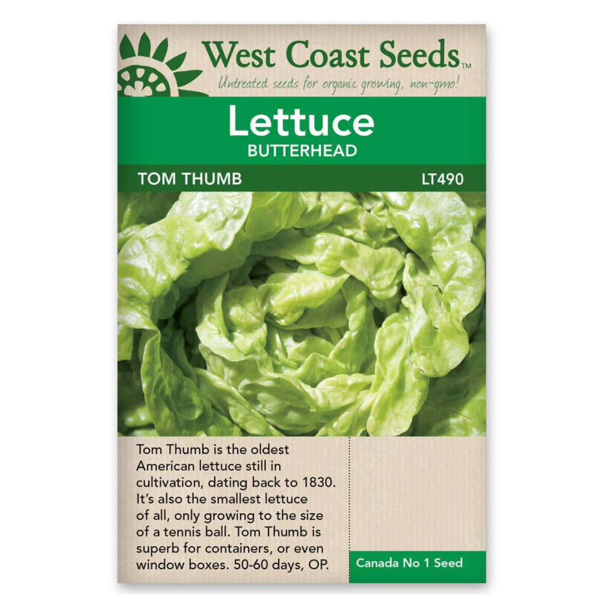 Tom Thumb Lettuce Seeds - approx. 4625 seeds