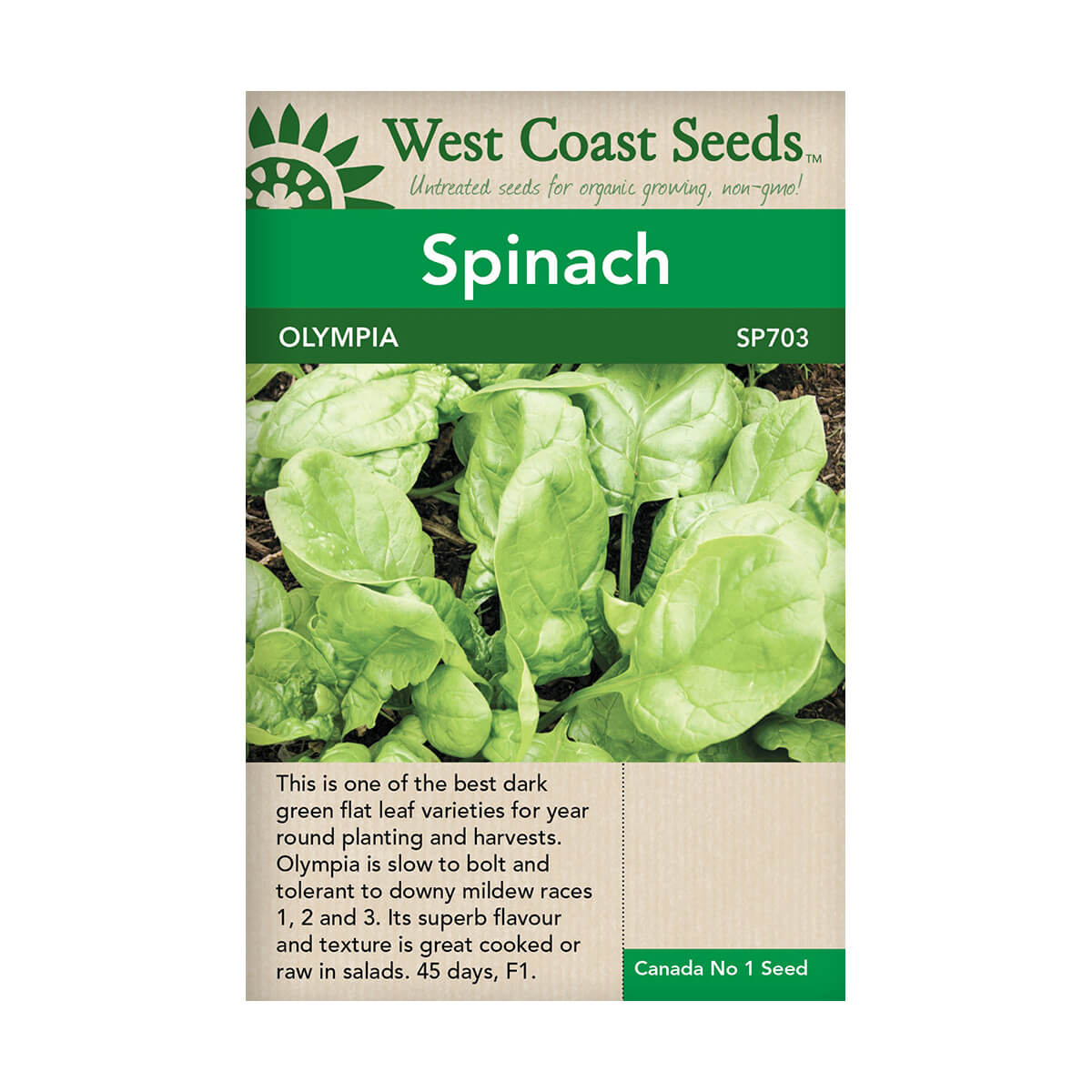 Olympia Spinach Seeds - approx. 300 seeds