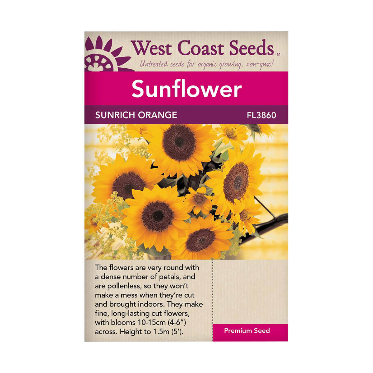 Sunrich Orange Sunflower Seeds - approx. 20 seeds