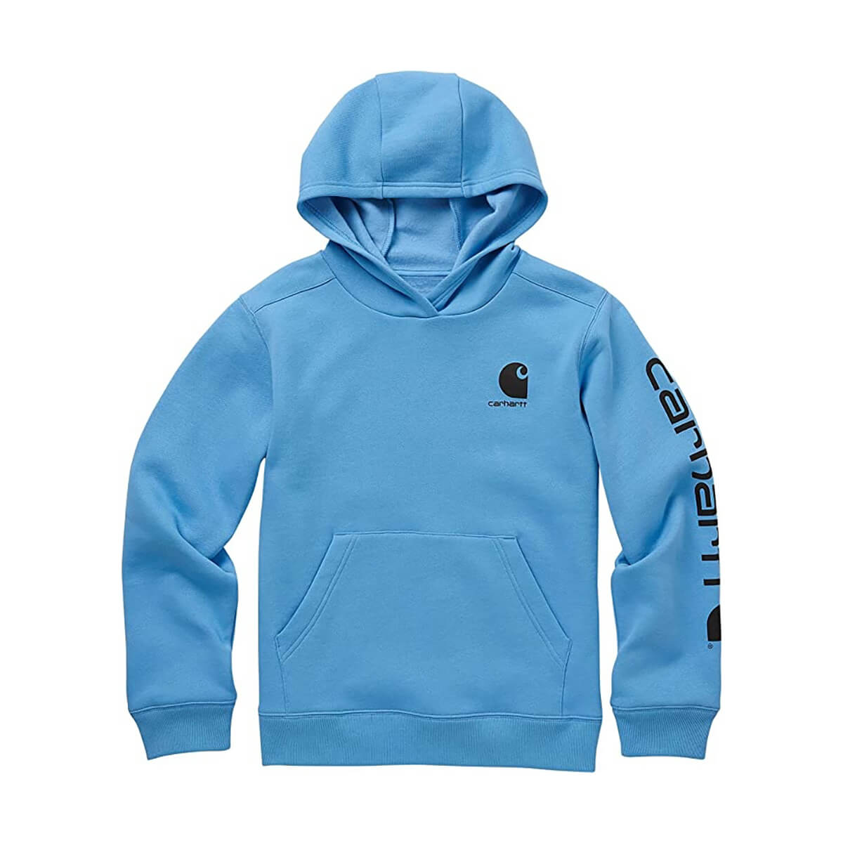 Carhartt Long-Sleeve Graphic Sweatshirt - Blue