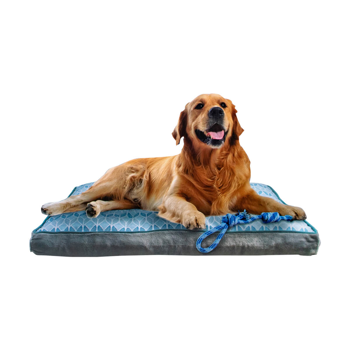 Dog Bed Box with Rope - Large