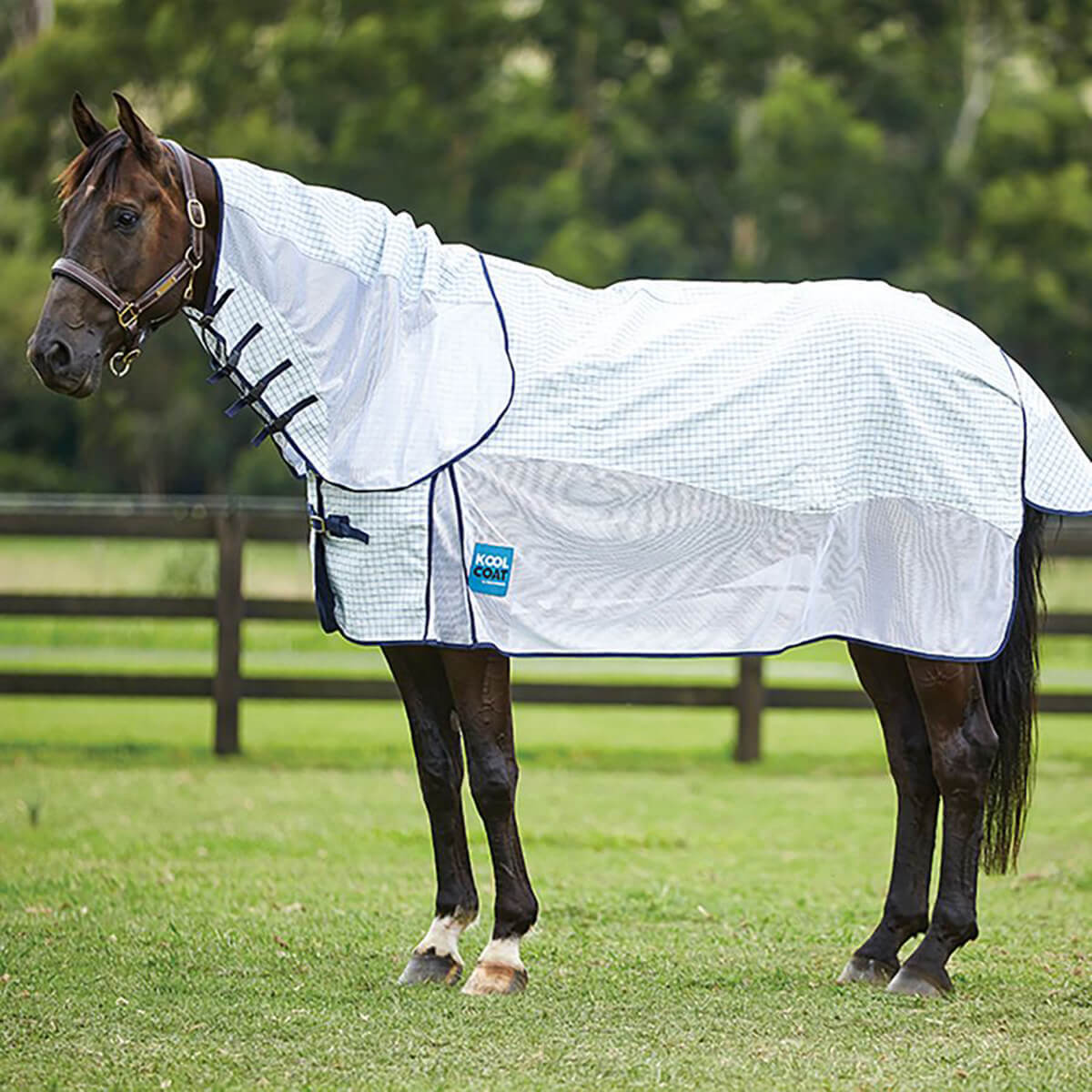 Fly Sheet - Kool Coat Airstream with Hidden Surcingle III Detach A Neck - White - 75-in