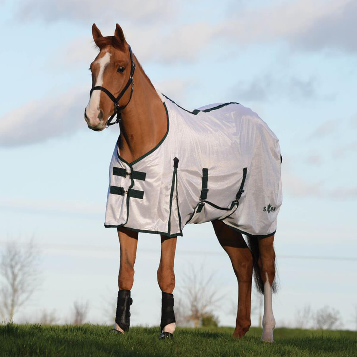 Horse Fly Sheet - Saxon Mesh with Gusset Belly Wrap Standard Neck - White