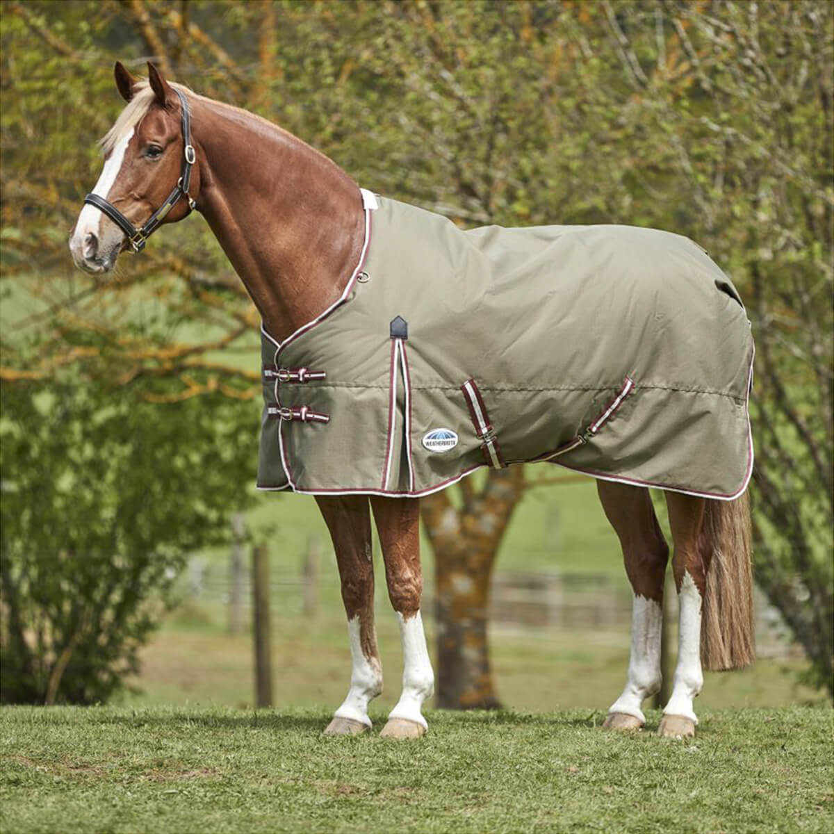 Weatherbeeta Comfitec Essential Standard Neck Medium Horse Blanket - Olive