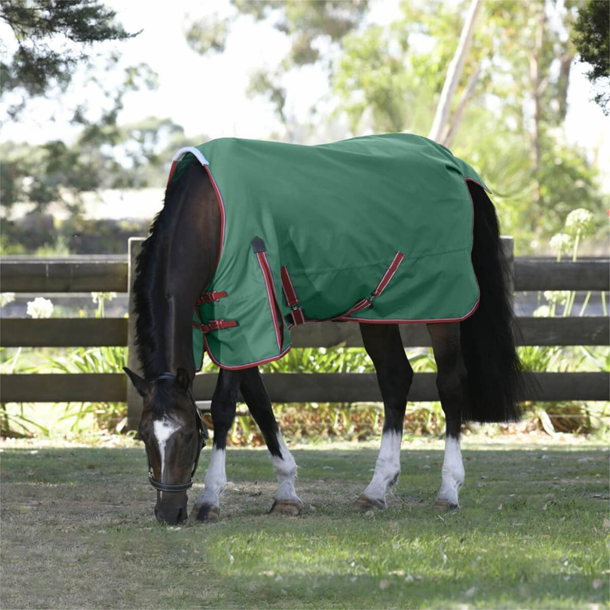 Weatherbeeta Comfitec Prelim Standard Neck Medium Horse Blanket - Green
