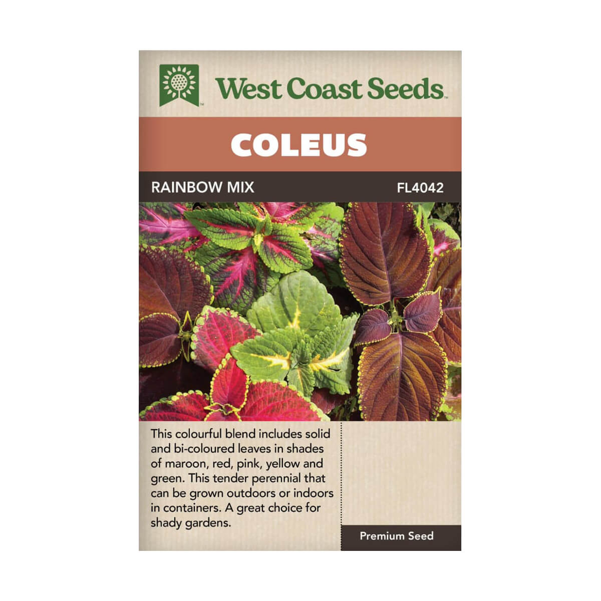 Rainbow Mix Coleus - 0.5 g