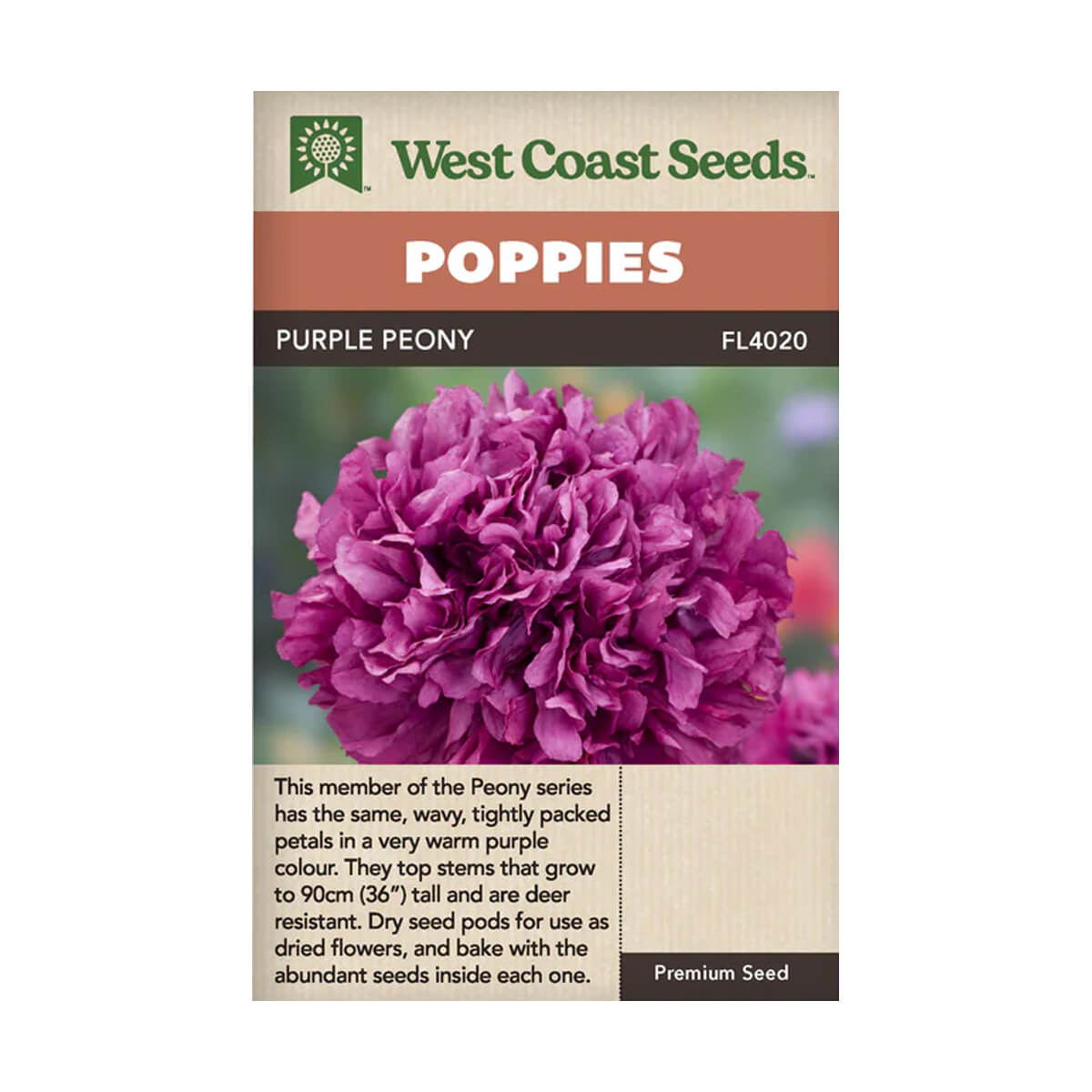 Purple Peony - approx. 420 seeds