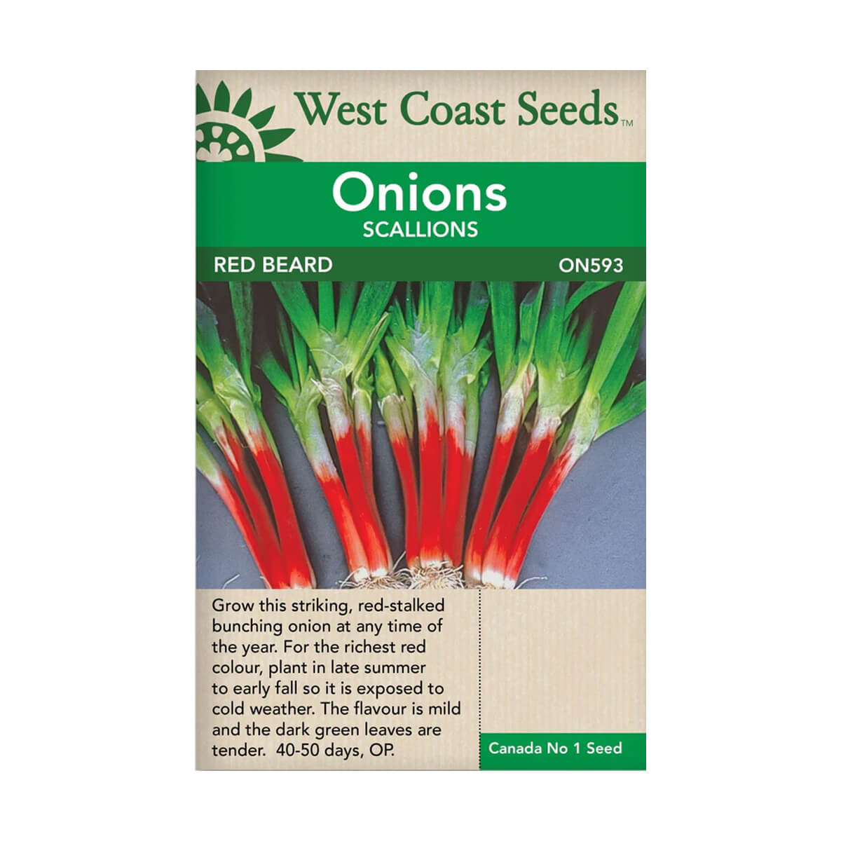 Red Beard Onion - approx. 458 seeds