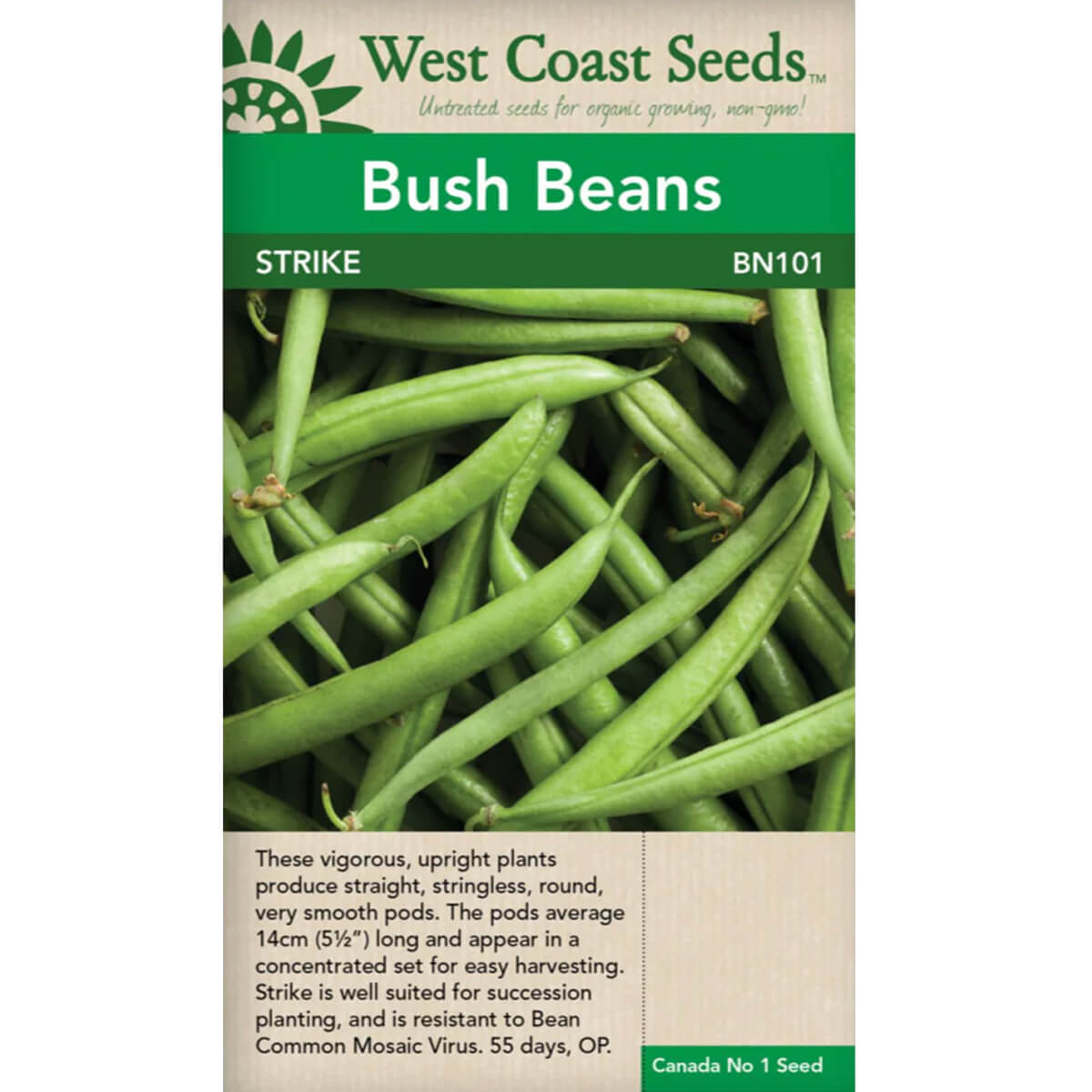 Strike Bean - approx. 115 seeds