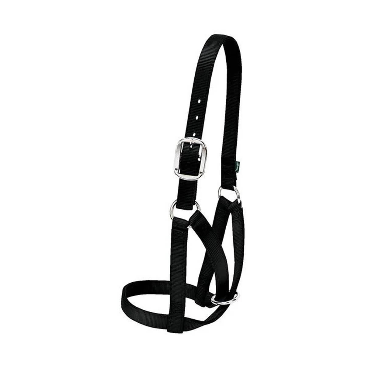 Weaver Leather Barn Cow Halter - 1-in