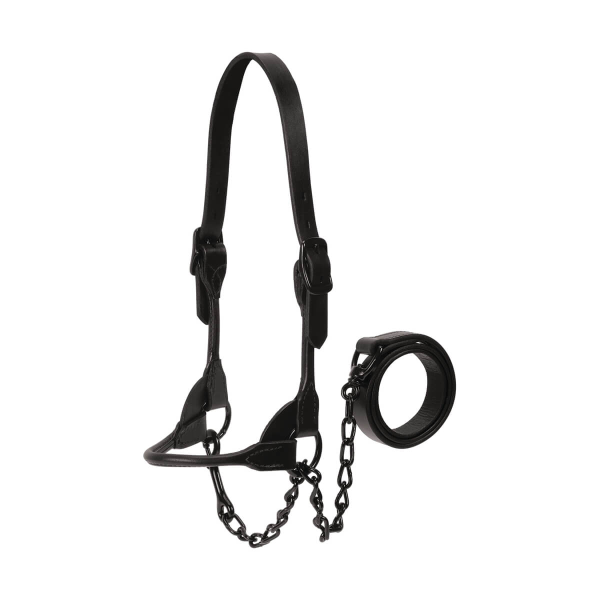 Weaver Livestock Magic Show Halter - Black - S