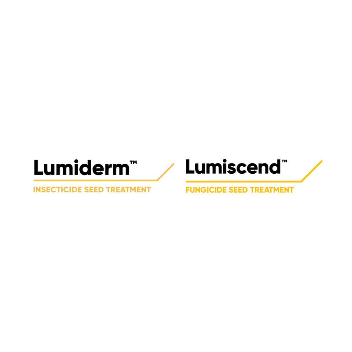 Lumiscend™ Lumiderm™ Bag - XLRG